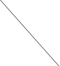 / /